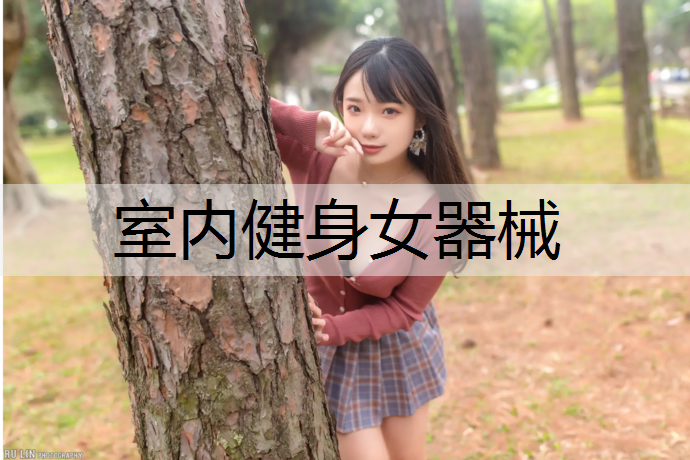 <strong>室内健身女器械</strong>