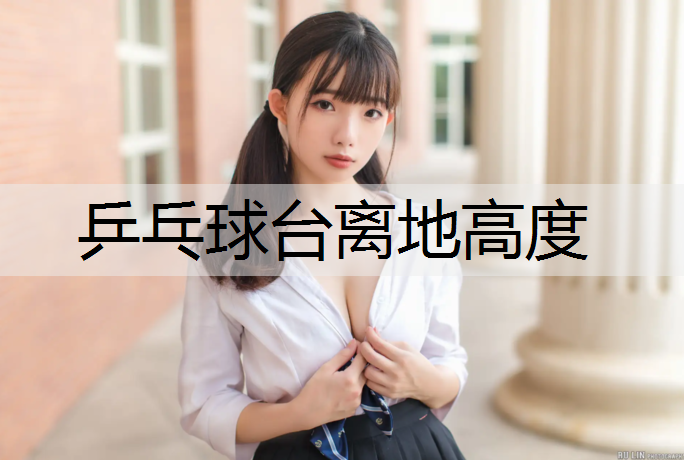<strong>乒乓球台离地高度</strong>