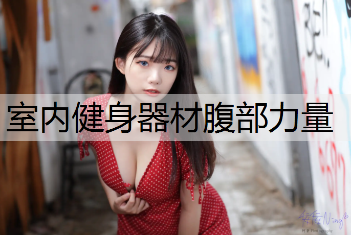 室内健身器材腹部力量