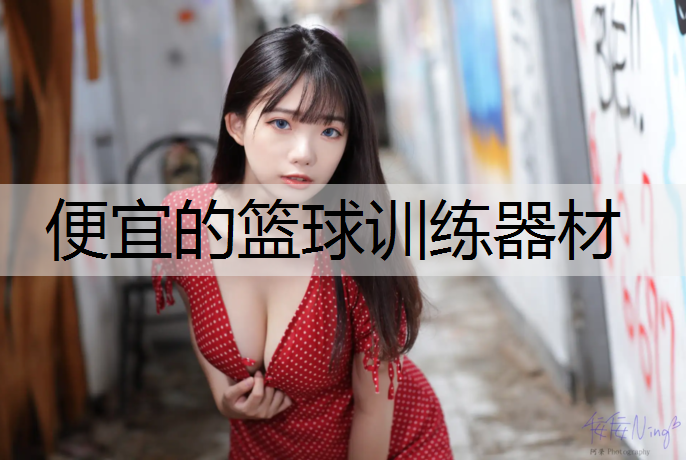 便宜的篮球训练器材