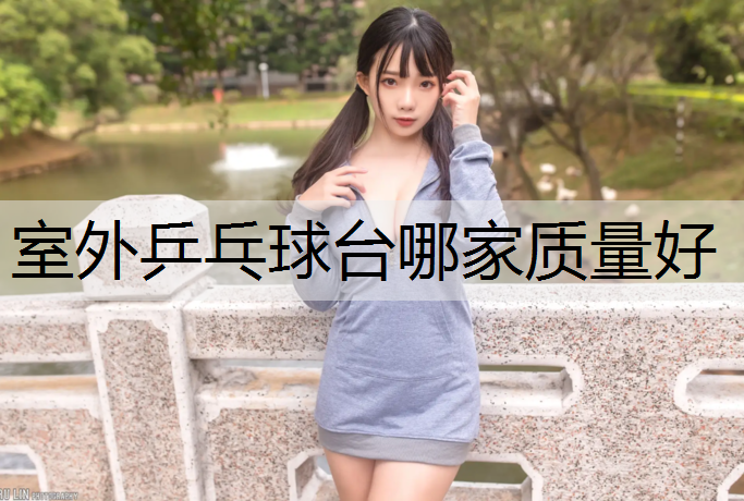 室外乒乓球台哪家质量好