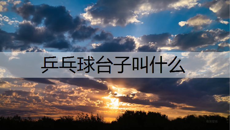 乒乓球台子叫什么