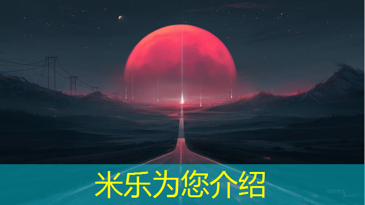 米乐为您介绍：实心球体操垫