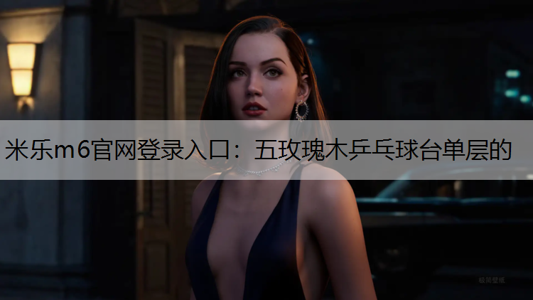 五玫瑰木乒乓球台单层的