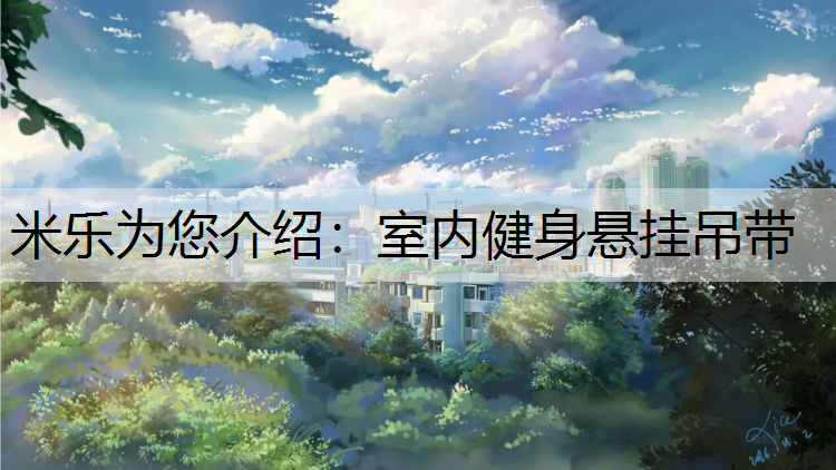 室内健身悬挂吊带
