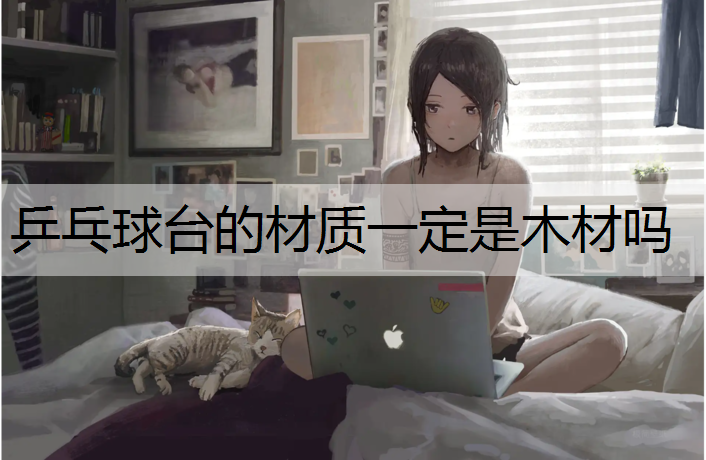 乒乓球台的材质一定是木材吗