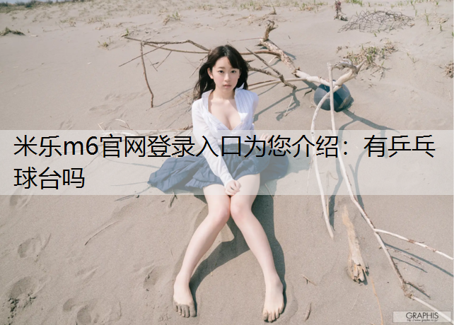 有乒乓球台吗