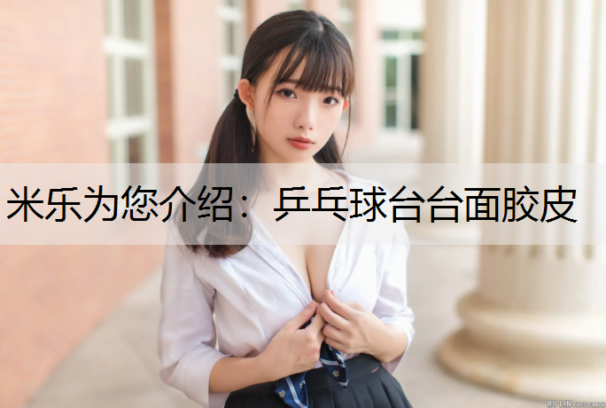 乒乓球台台面胶皮