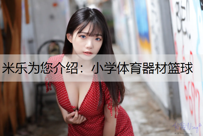 小学体育器材篮球