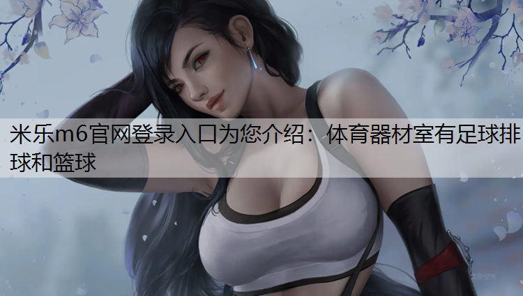 体育器材室有足球排球和篮球